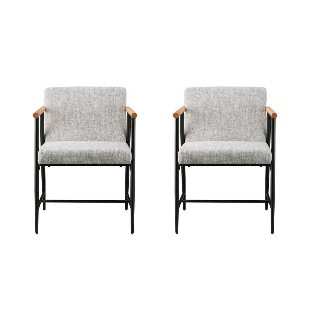 Modern Dining Chair With Iron Frame (Set of 2)