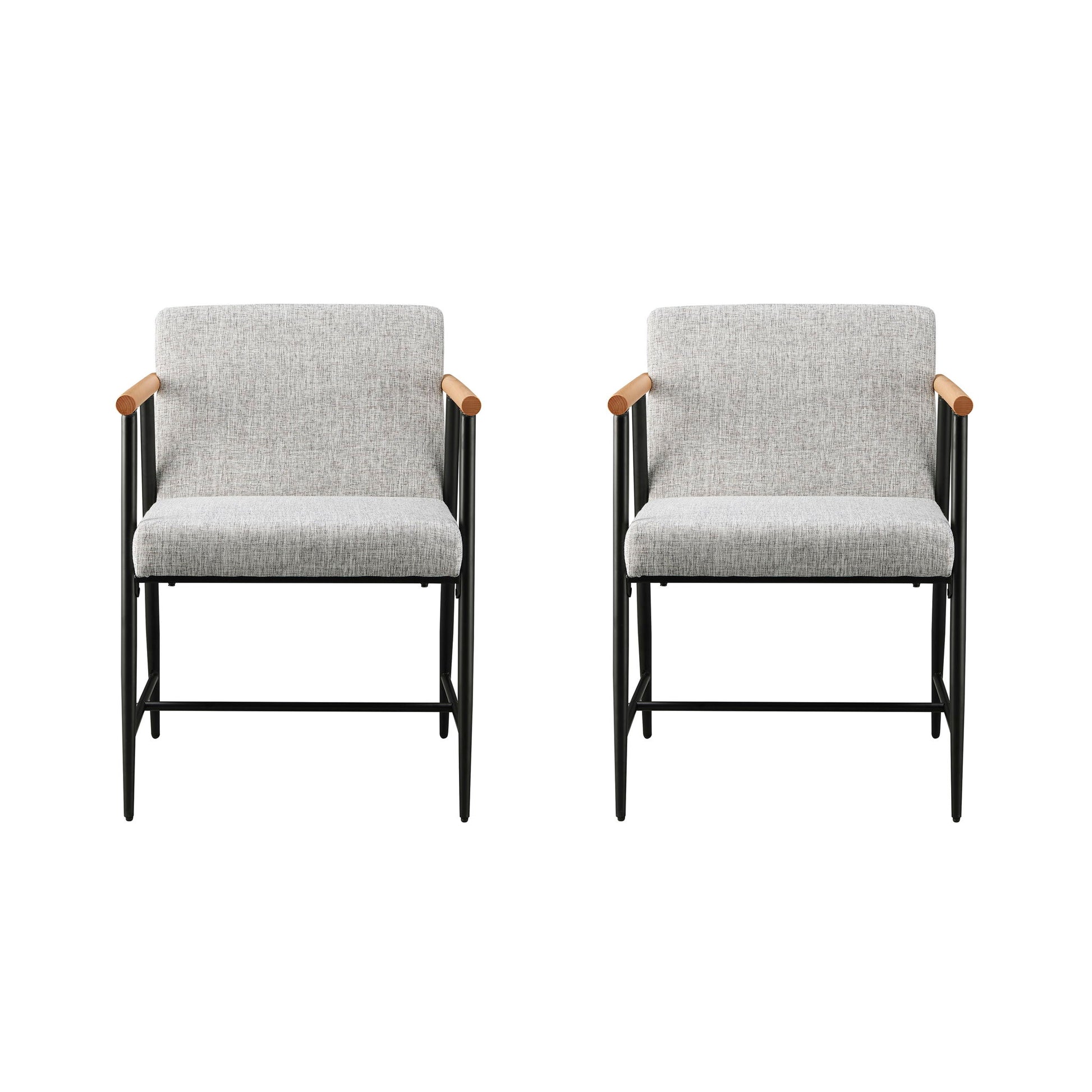 Modern Dining Chair With Iron Frame (Set of 2)