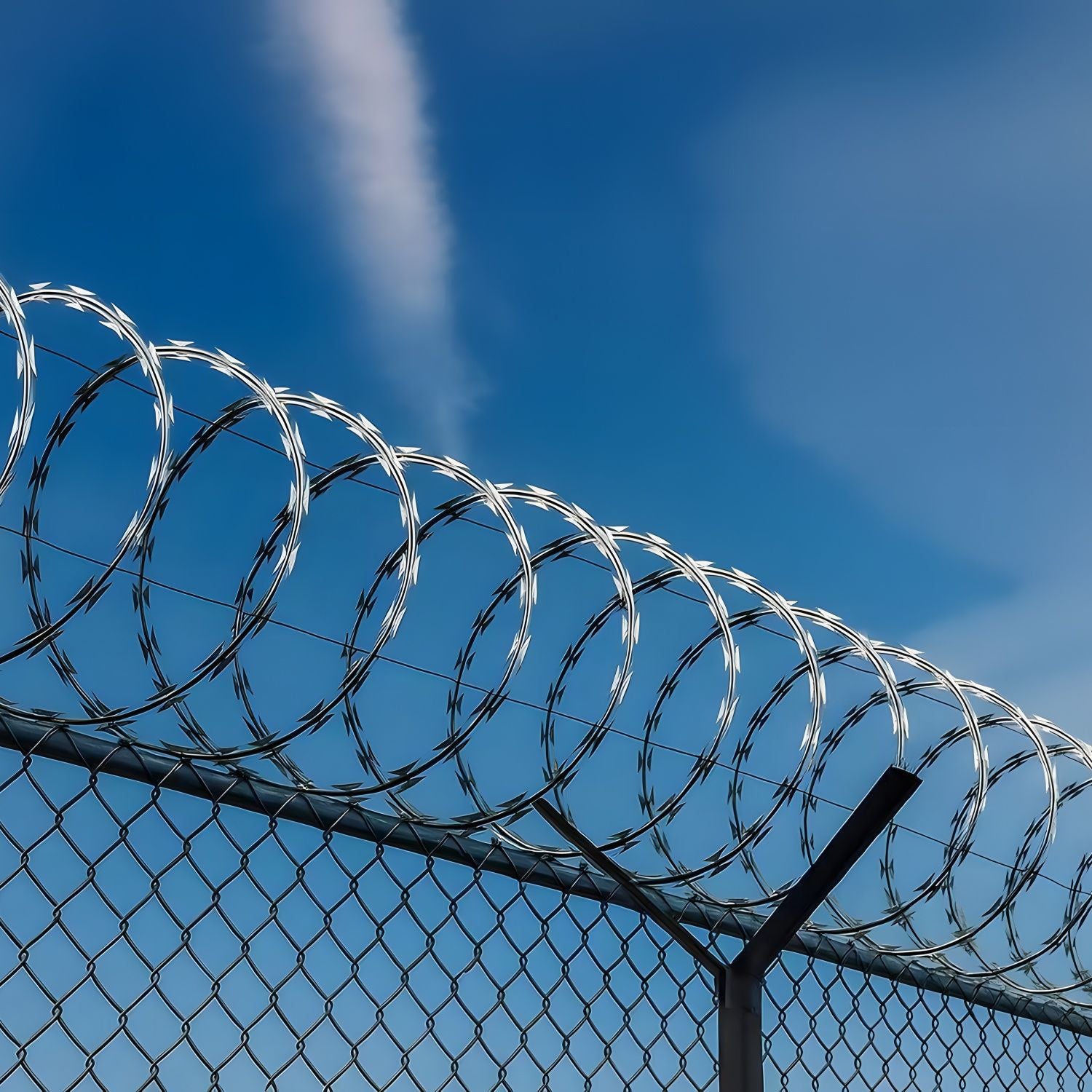 Galvanized Barbed Wire Fence Roll, Security Fencing With Sharp Razor Edges