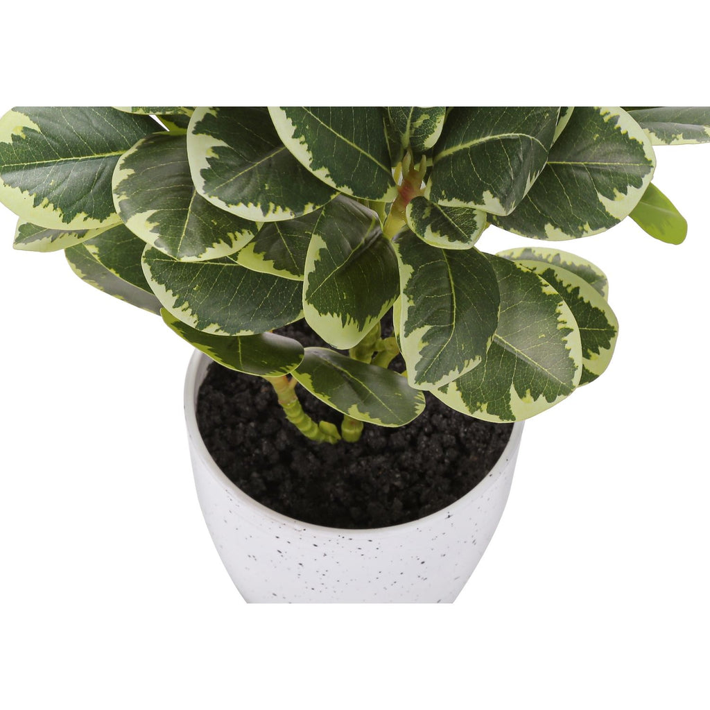 Artificial Ficus Elastica Plant (Set of 2)