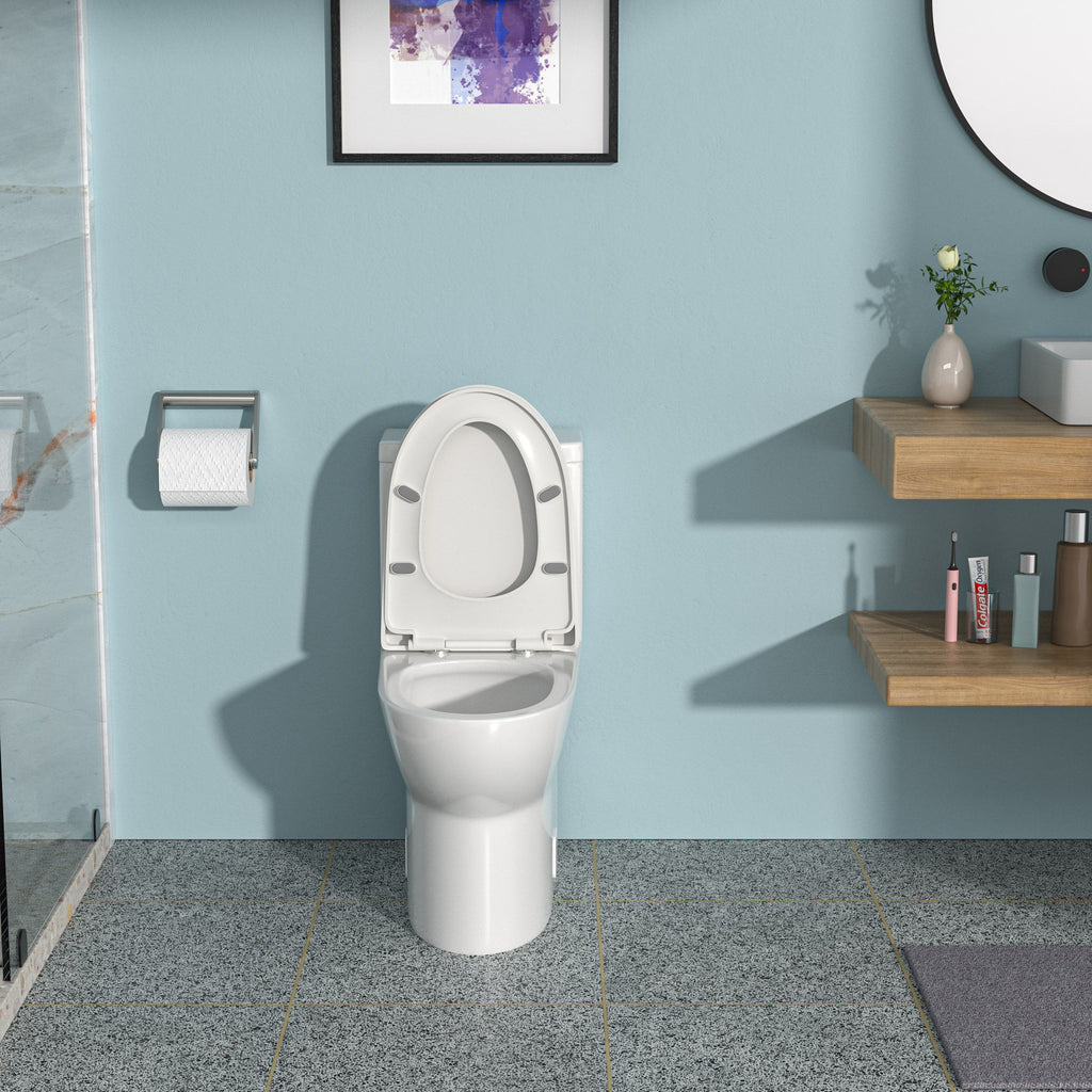 1 Piece Toilet With Dual Flush, Soft Closing Seat - White