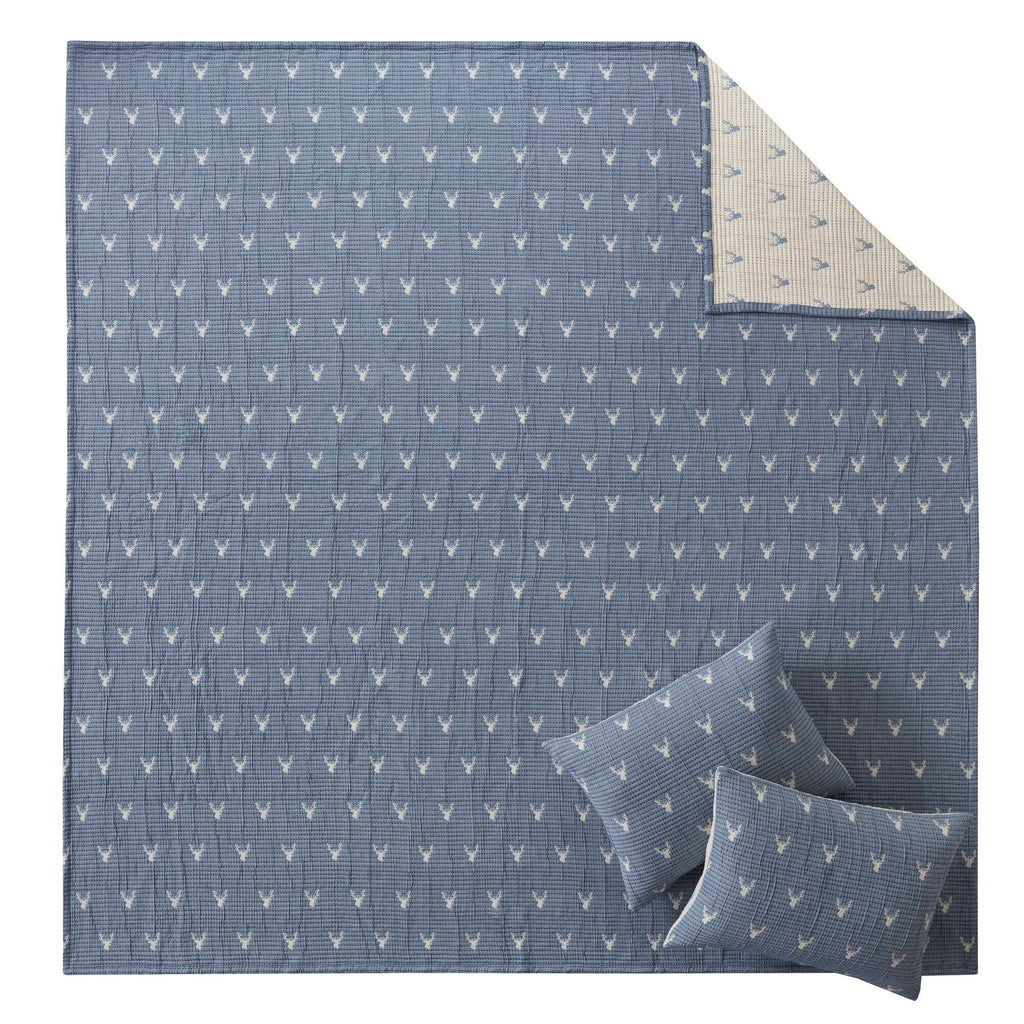 Keystone - King/California King Coverlet Set - Blue