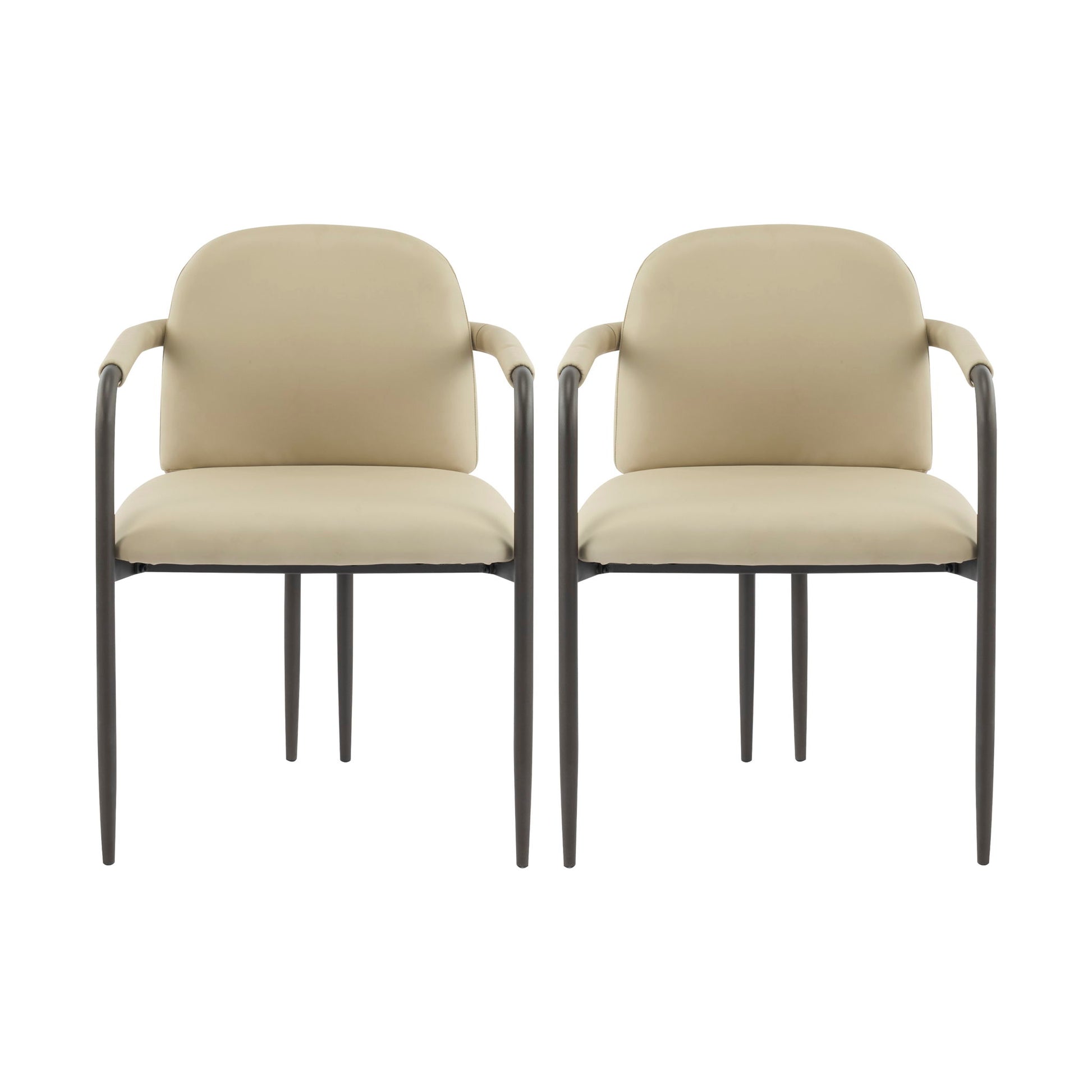 Modern Dining Chair (Set of 2) With Iron Frame - Espresso / Khaki