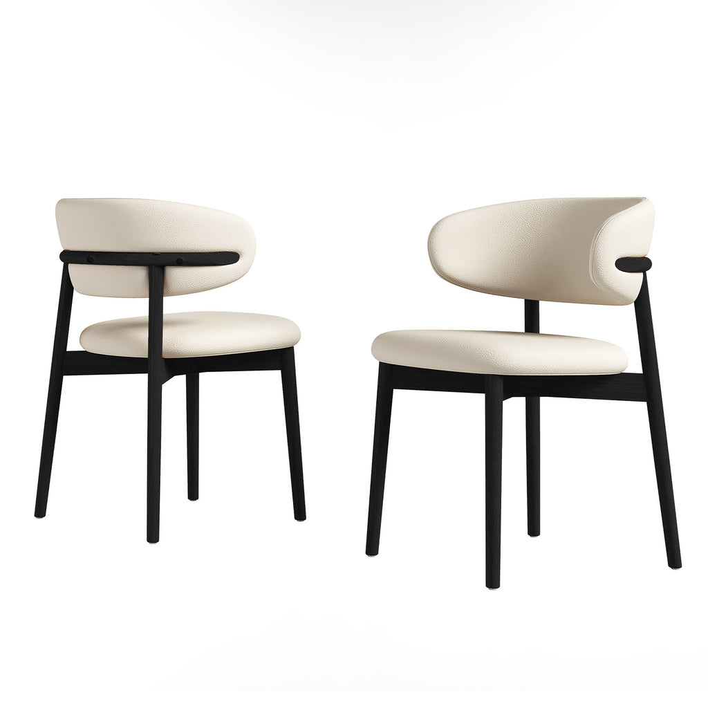 Mid-Century Modern Dining Chair (Set of 2)
