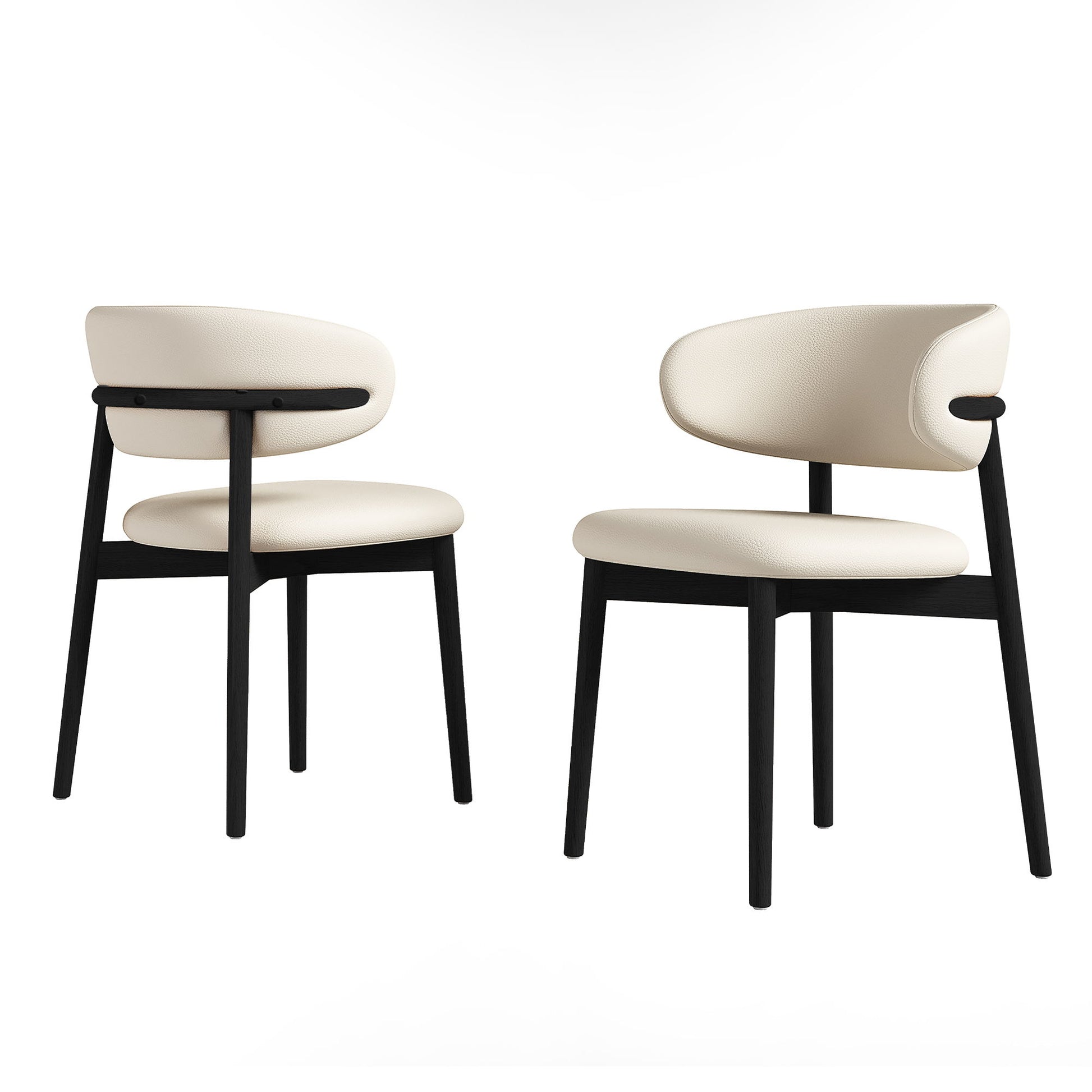 Mid-Century Modern Dining Chair (Set of 2)
