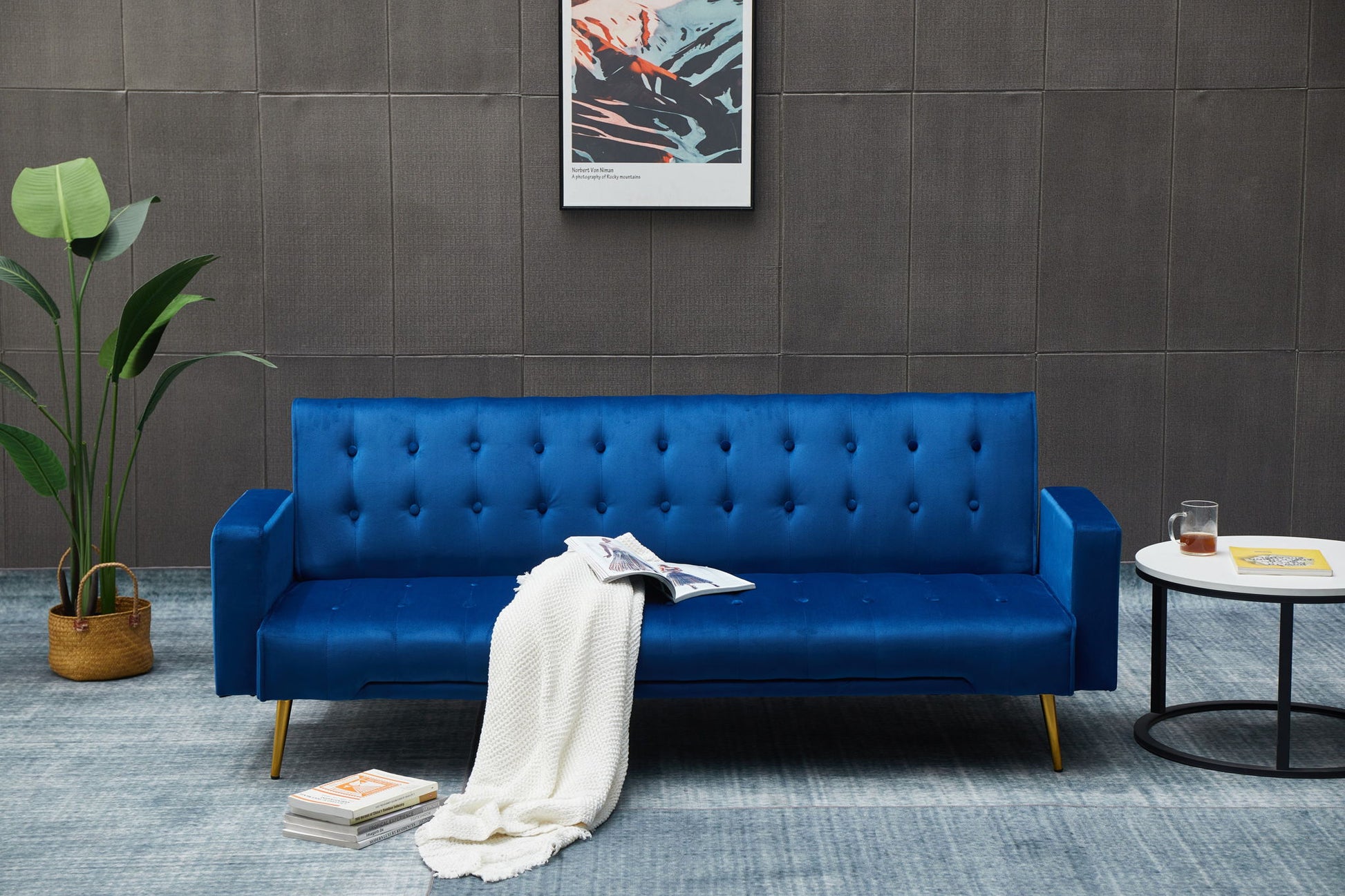 Comfort Compact Design Sofa Bed