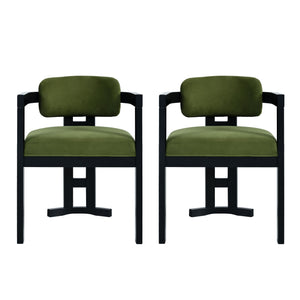 Stylish Indoor Upholstered Wood Dining Chair (Set of 2)