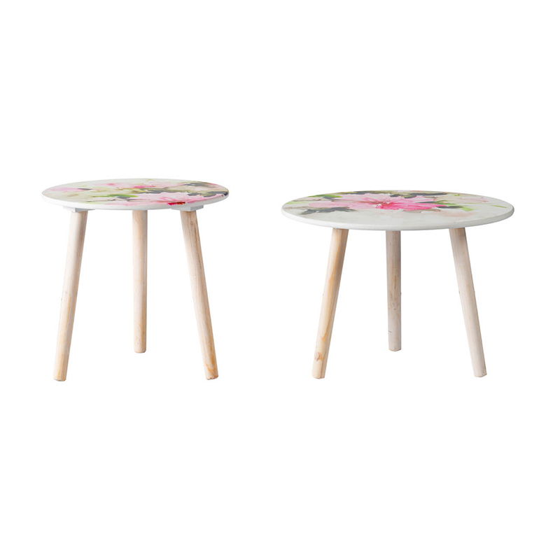 Nature-Inspired Side Tables (Set of 2)