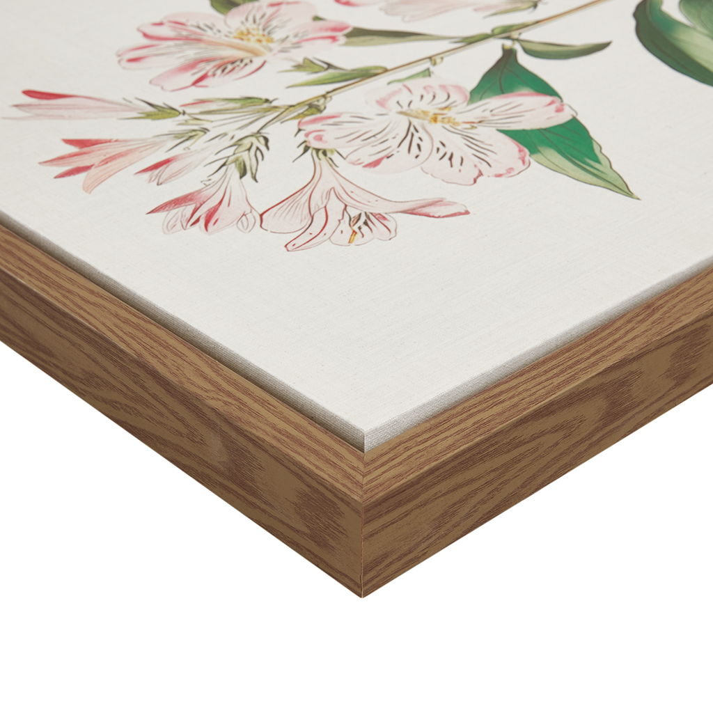 Herbal Botany - Herbal Botany 4-Piece Botanical Illustration Framed Canvas Wall Art Set - Green