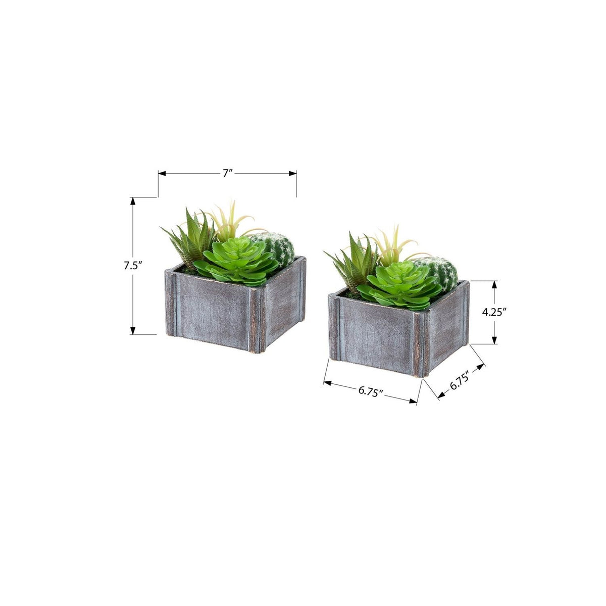 Artificial Succulent, Table Decor (Set of 2) - Green Plastic