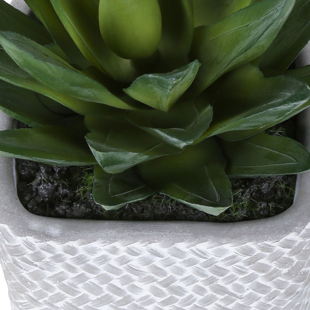 Artificial Succulent Table Decor (Set of 2) - Green Plastic
