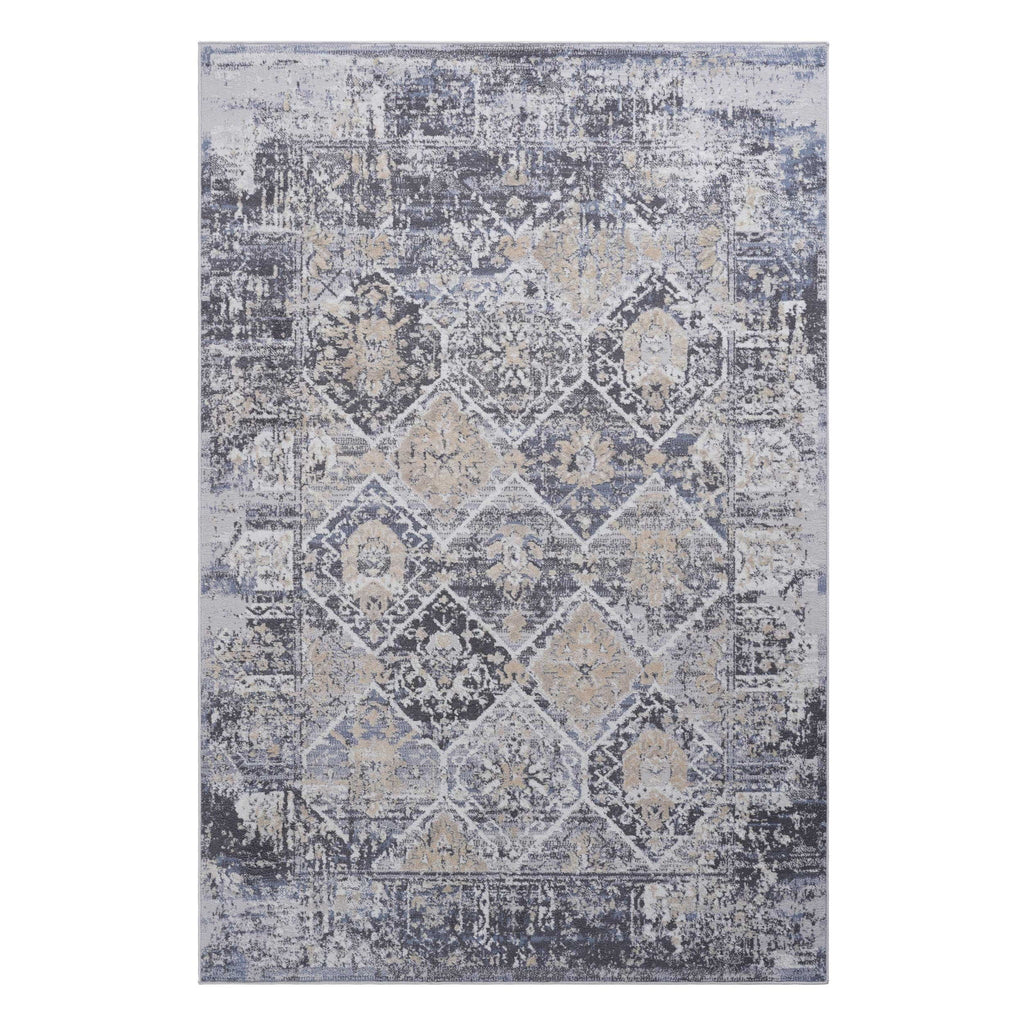 Payas - 6' X 9' Traditional Area Rug - Gray / Blue