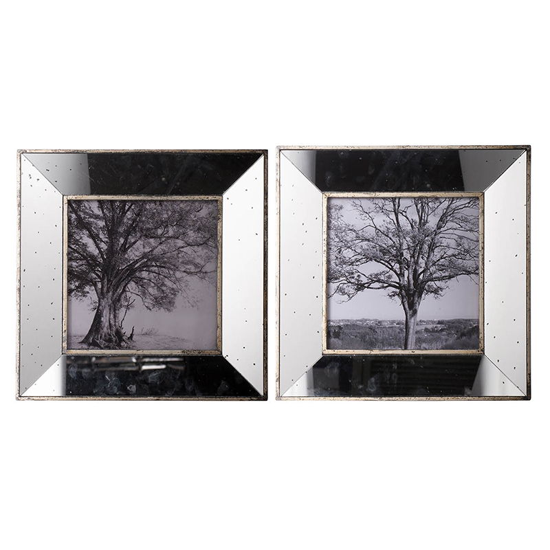 Vintage Silver Reflective Picture Frames (Set of 2) - Silver