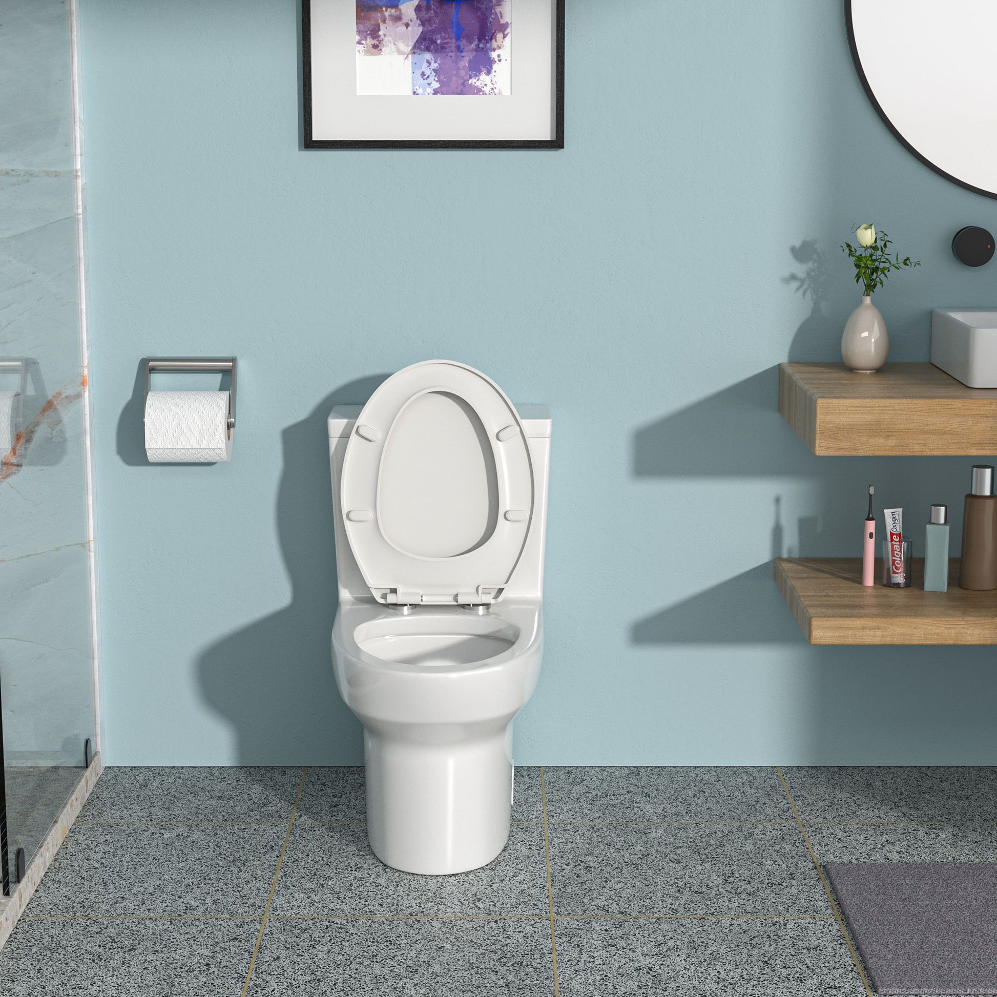1 Piece Toilet & Dual Flush, Soft Closing Seat - White