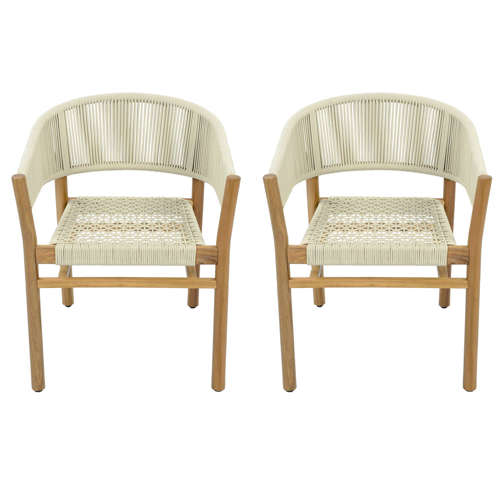 Elegant Outdoor Accent Chair (Set of 2)