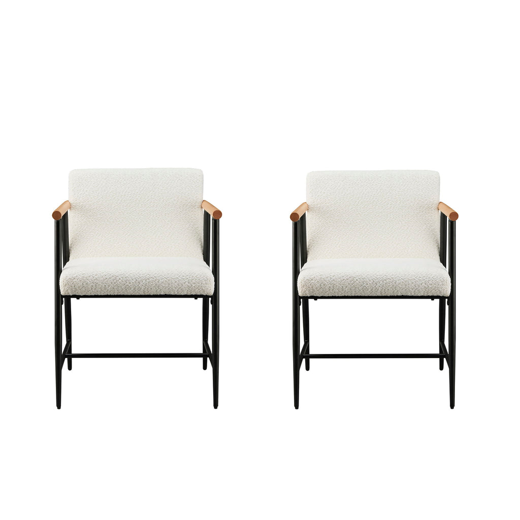 Modern Dining Chair With Iron Frame (Set of 2)