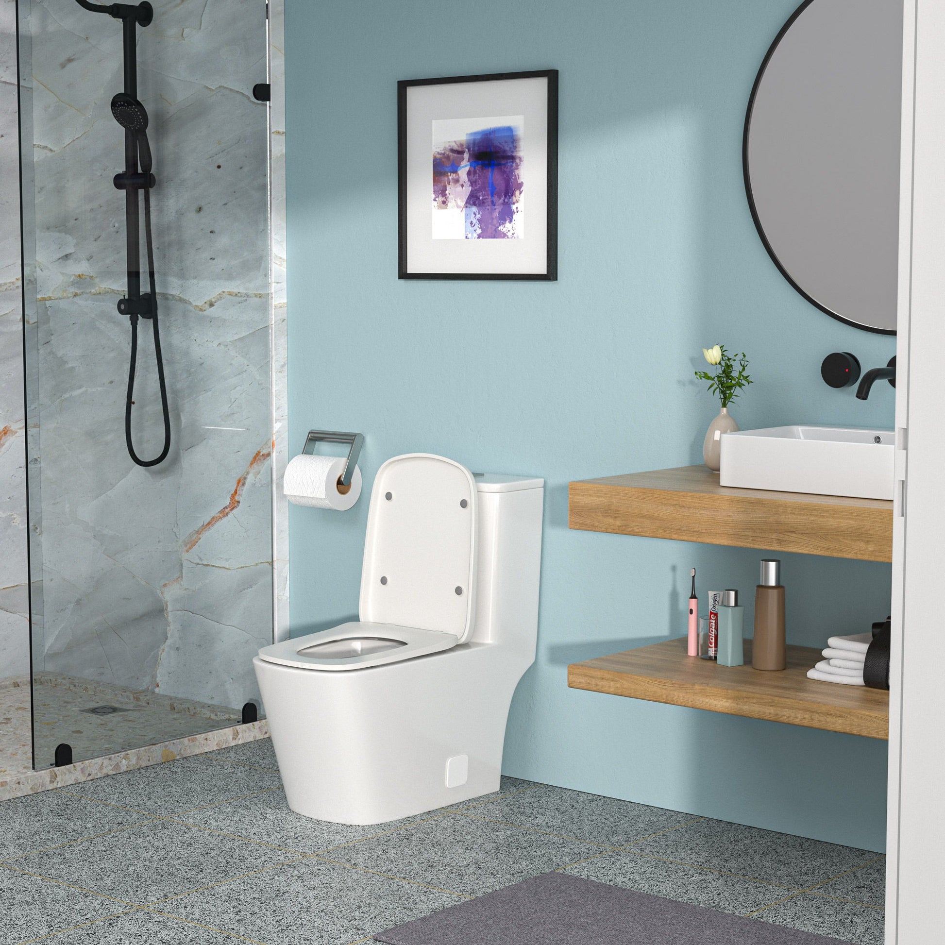 1 Piece Toilet & Dual Flush And Soft Closing Seat - White