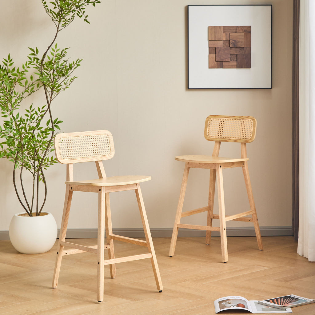 Bari - Indoor Wood Barstool (Set of 2)