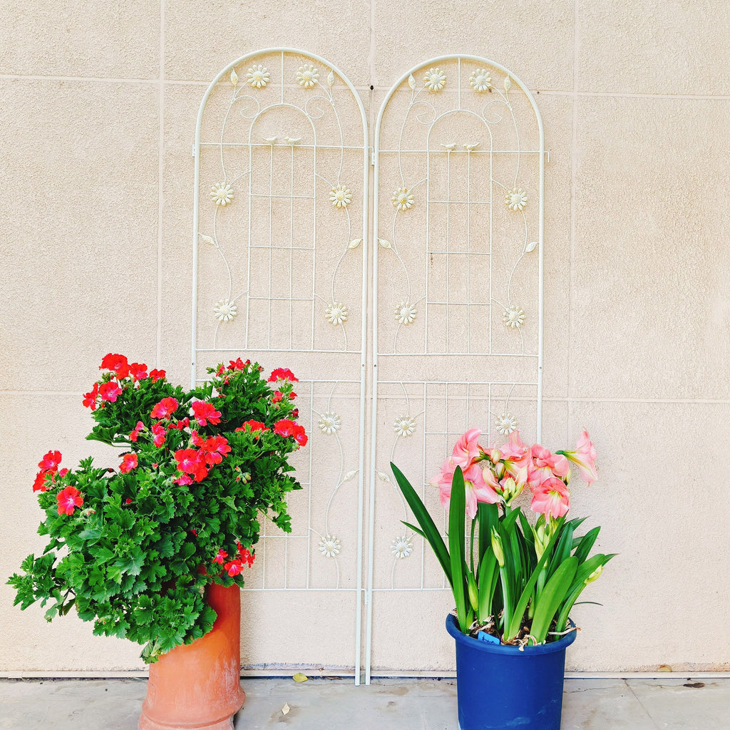 Metal Garden Trellis Rustproof Trellis For Climbing Plant Outdoor Flower Support