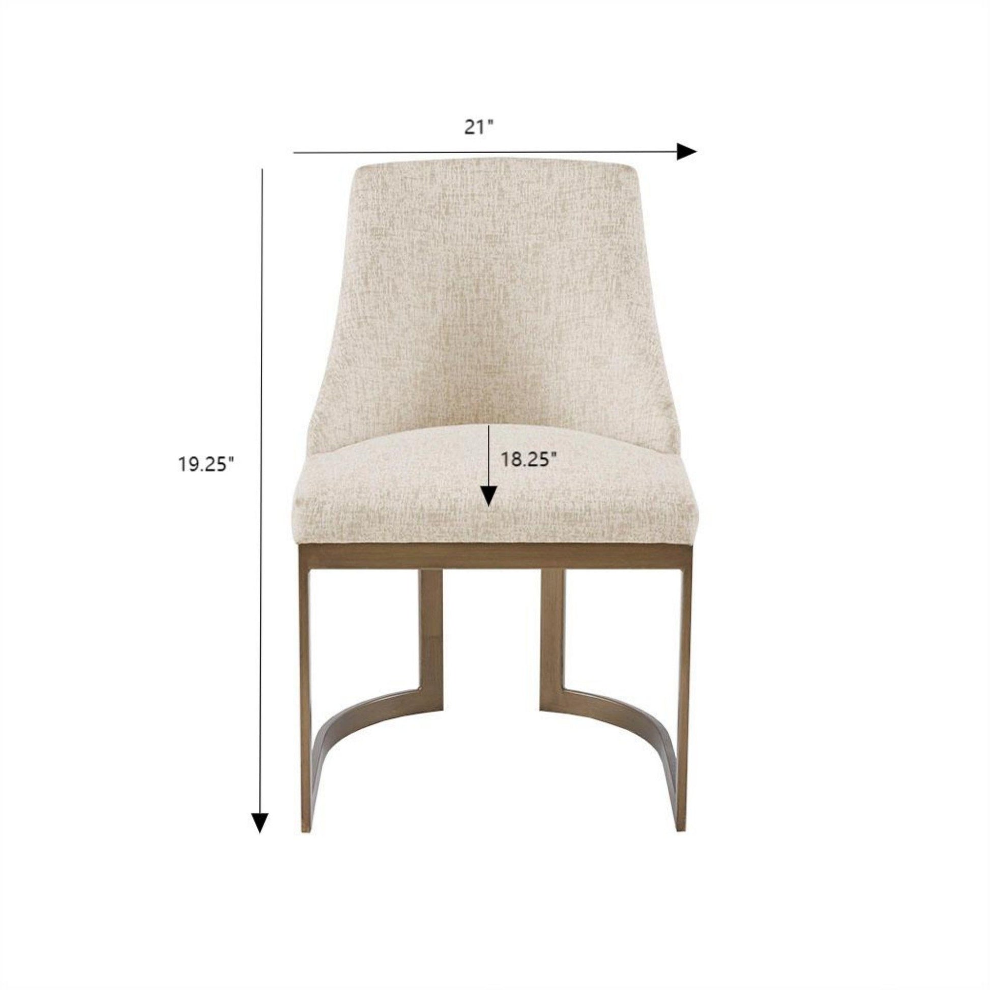 Contemporary Modern Accent Dining Chairs (Set of 2)