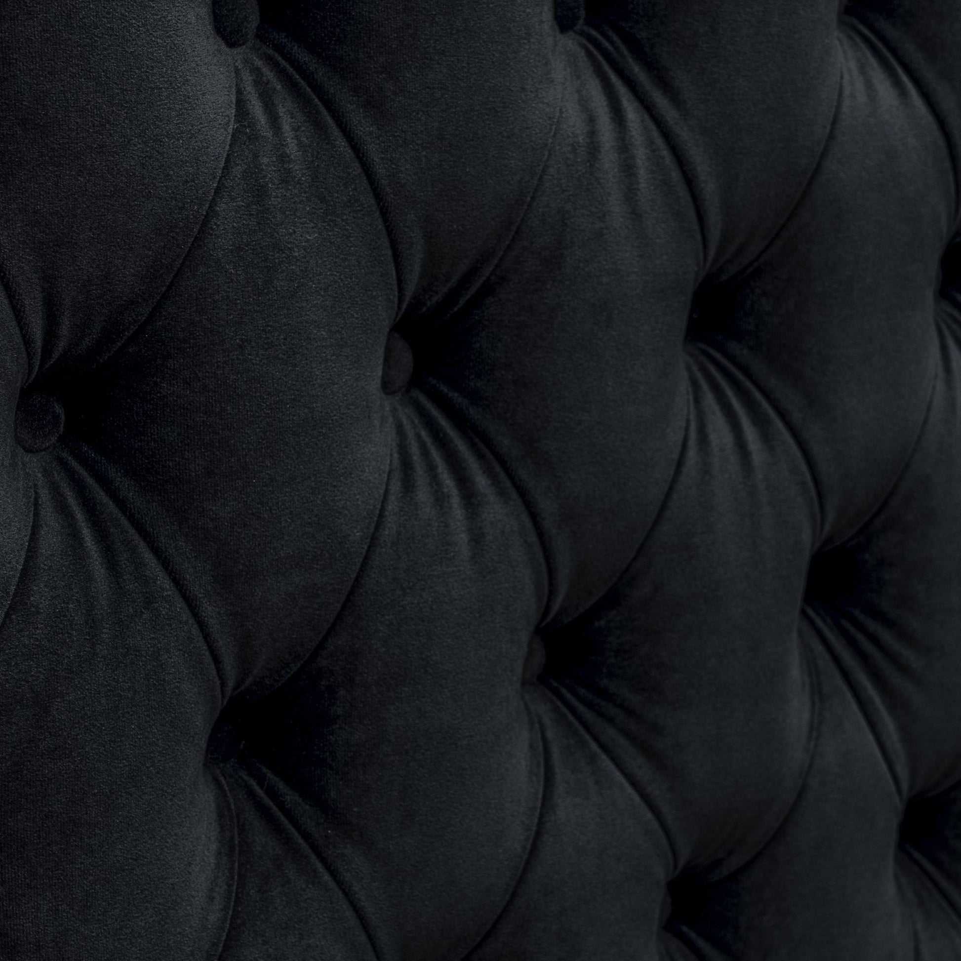 Amelia - Upholstered Velvet Wingback Headboard With Button Tufting & Nailhead Trim - Black