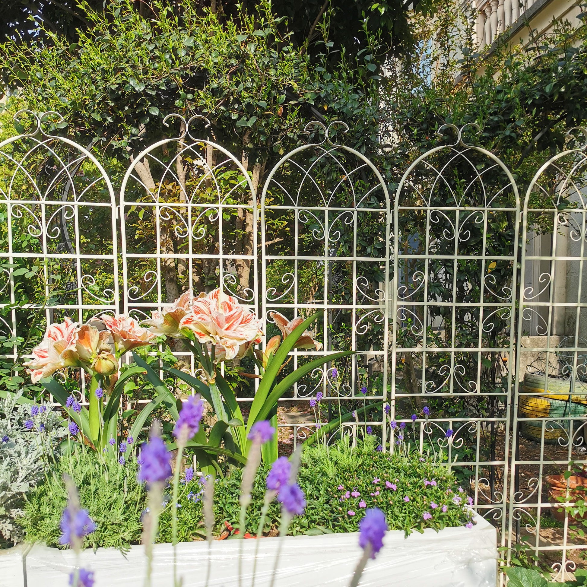 Metal Garden Rustproof Trellis For Climbing Plants Outdoor Flower Support