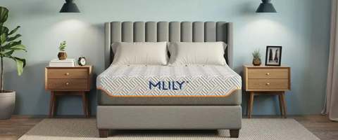 Mattresses on display in the sleep department at The Furniture & Mattress Warehouse in Mableton, GA