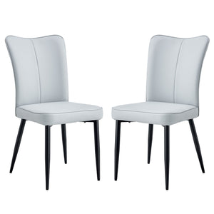 Modern Minimalist Dining Chairs (Set of 2)