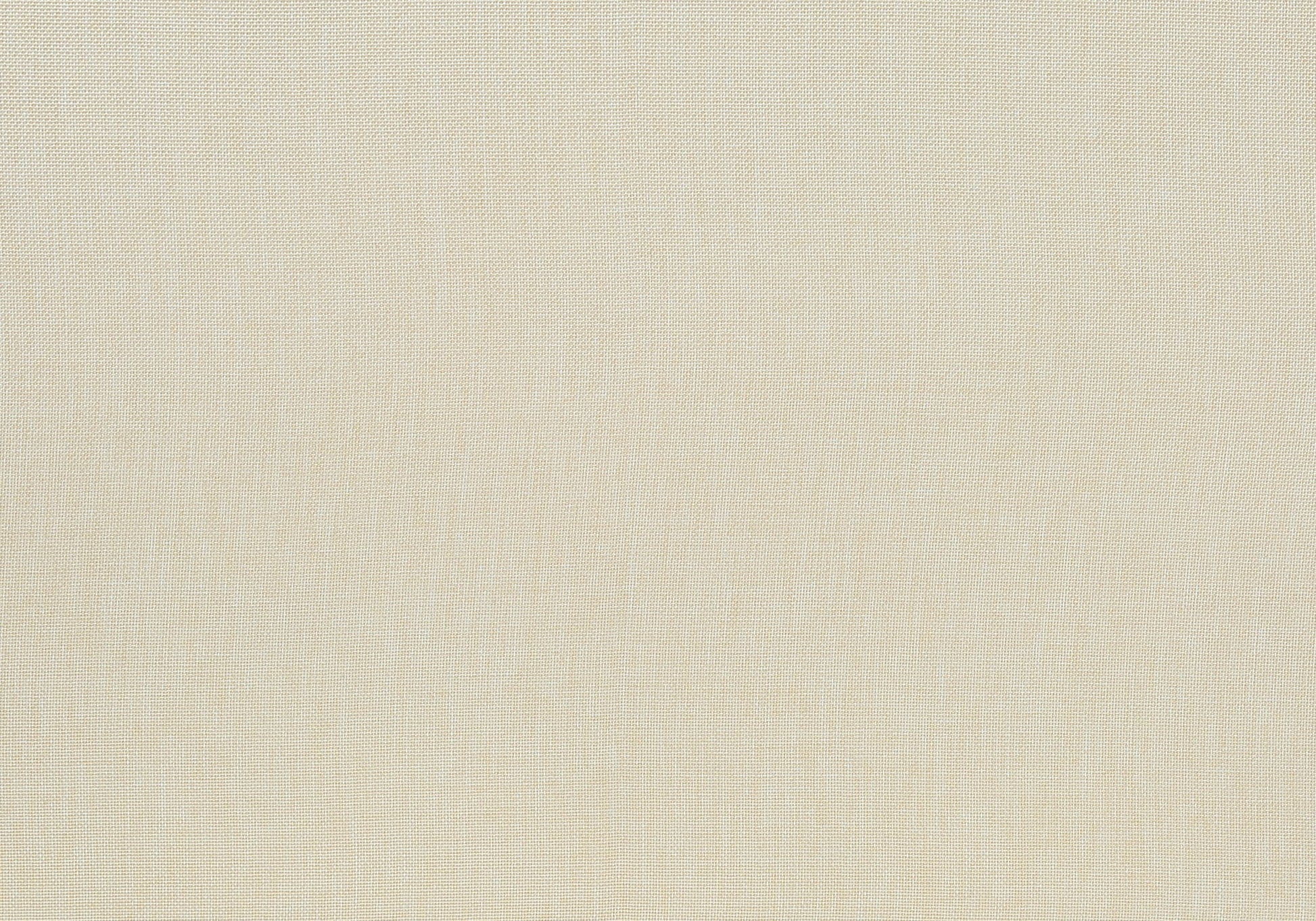 Dining Chair, Upholstered, Dining Room, Transitional (Set of 2) - Cream