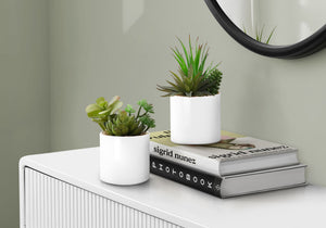 Artificial Succulent Plants (Set of 2)