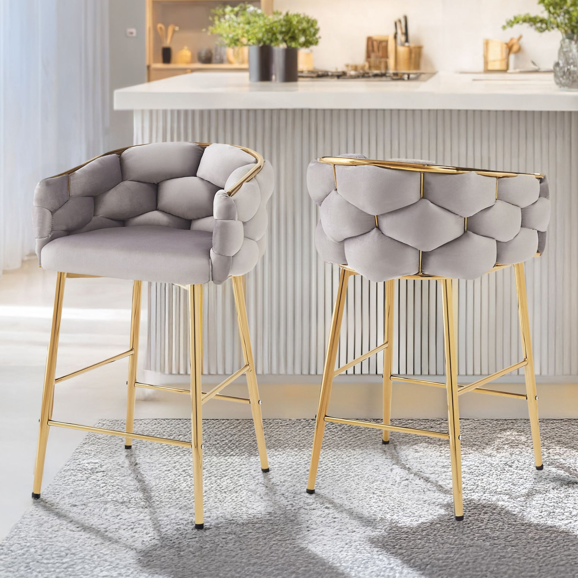 Modern Counter Stools (Set of 2)