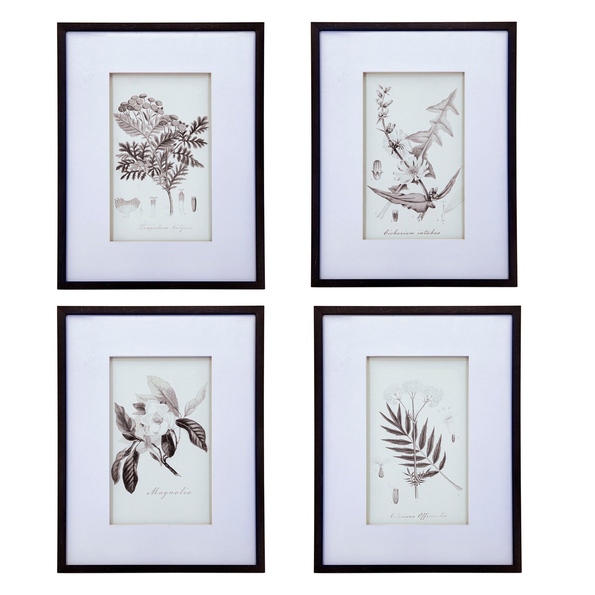 Botanical Wall Art Prints, Home Decor For Living Room Dining Room, Bedroom, Hallway (Set of 4) - White / Black