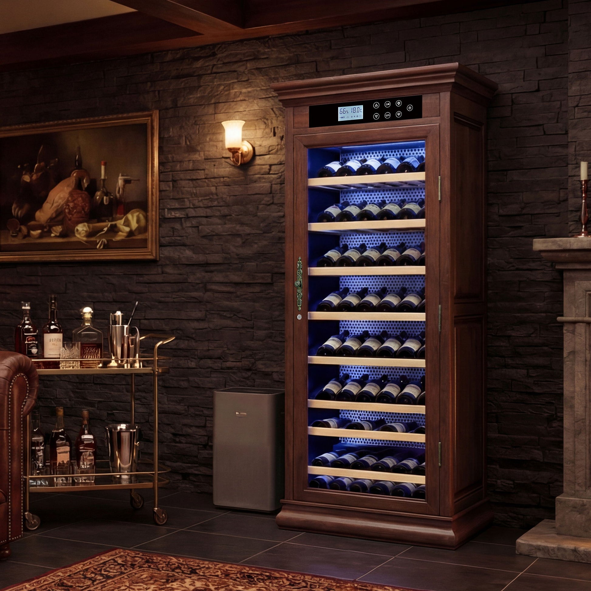 Temperature Control Professional Wine Cabinet