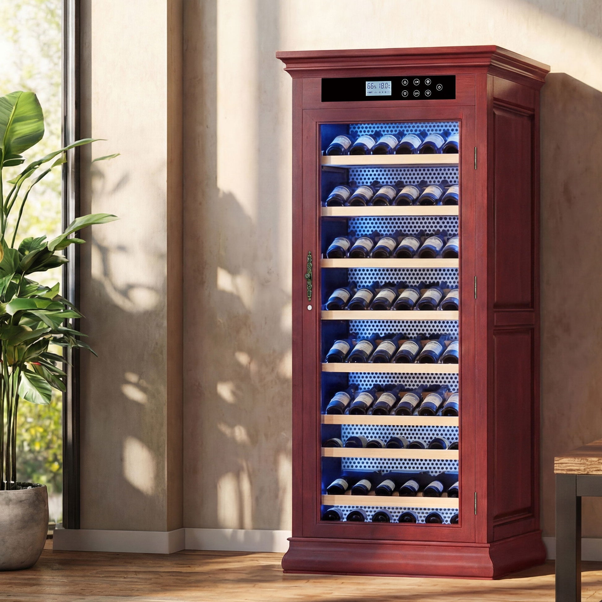 Temperature Control Professional Wine Cabinet