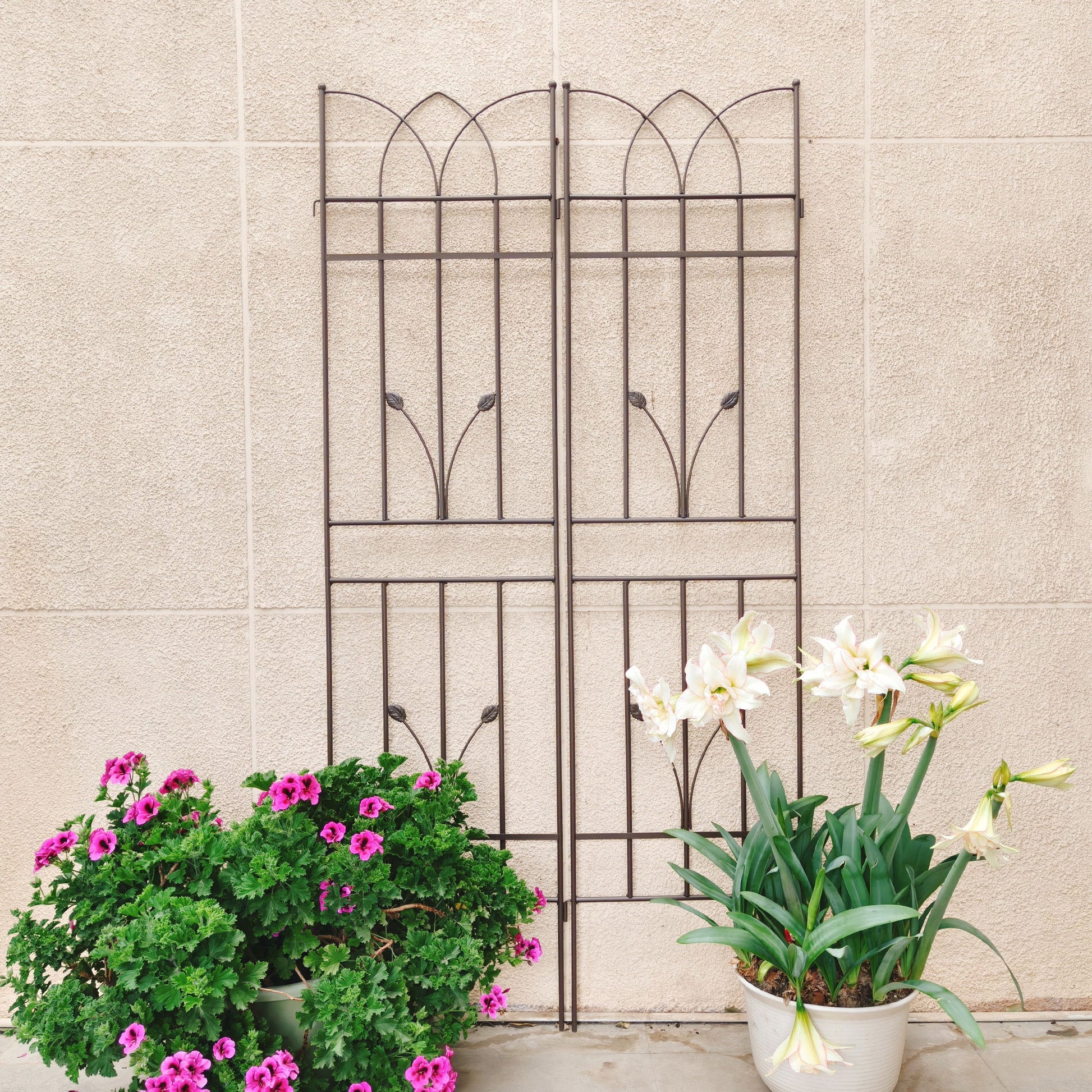 Metal Garden Trellis Rustproof For Climbing Plants Outdoor Flower Support