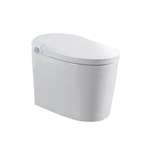 Tankless Smart Toilet With Bidet Built In, 1 Piece, Auto Flush, Auto Open / Close, Heated Seat, Bubble Wash, Warm Water And Dry, Adjustable Temp, Remote Control Side Know - White