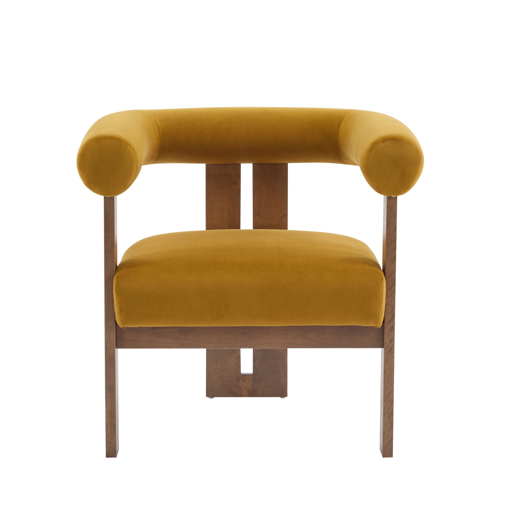 Modern Upholstered Round Arm Accent Chair With Upholstery