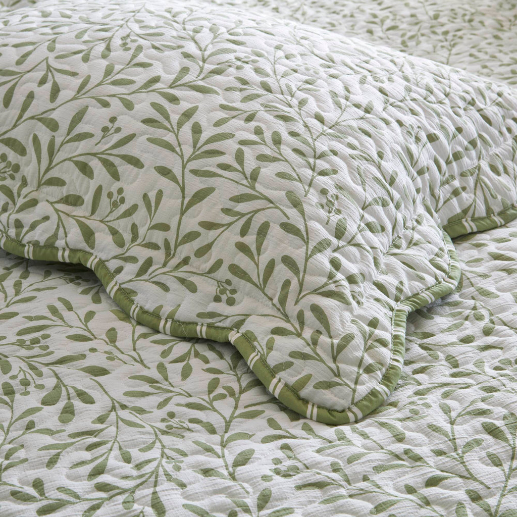 Darcy - 3 Piece Print Quilt Set - Sage Green
