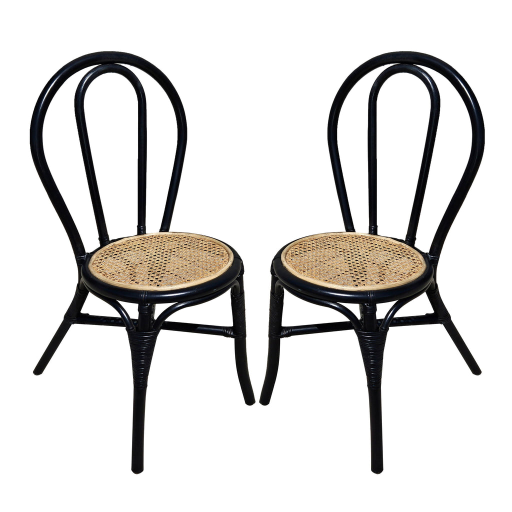 Rattan Dining Chair (Set of 2) - Black Multi