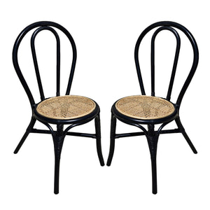 Rattan Dining Chair (Set of 2) - Black Multi