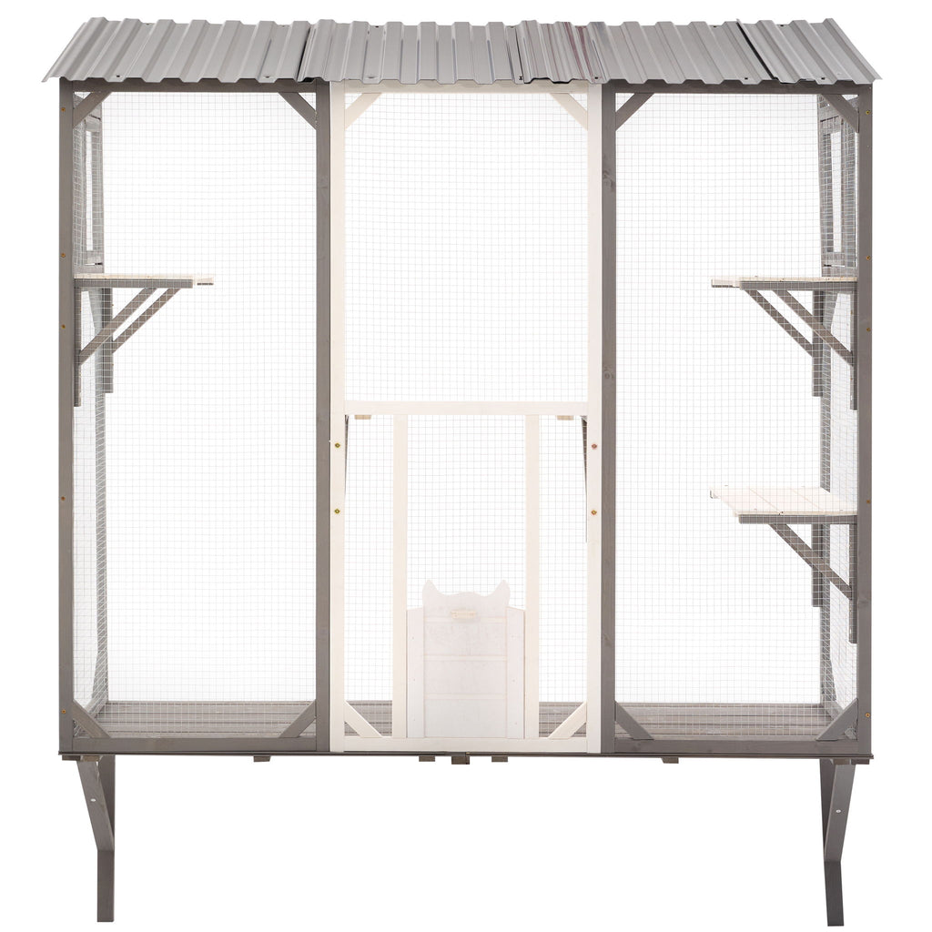 Outdoor Cat Catio With Platforms