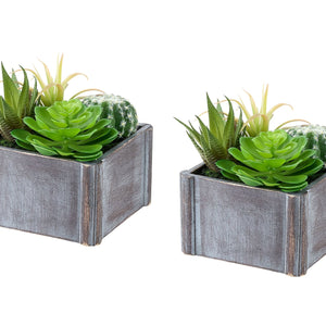 Artificial Succulent, Table Decor (Set of 2) - Green Plastic