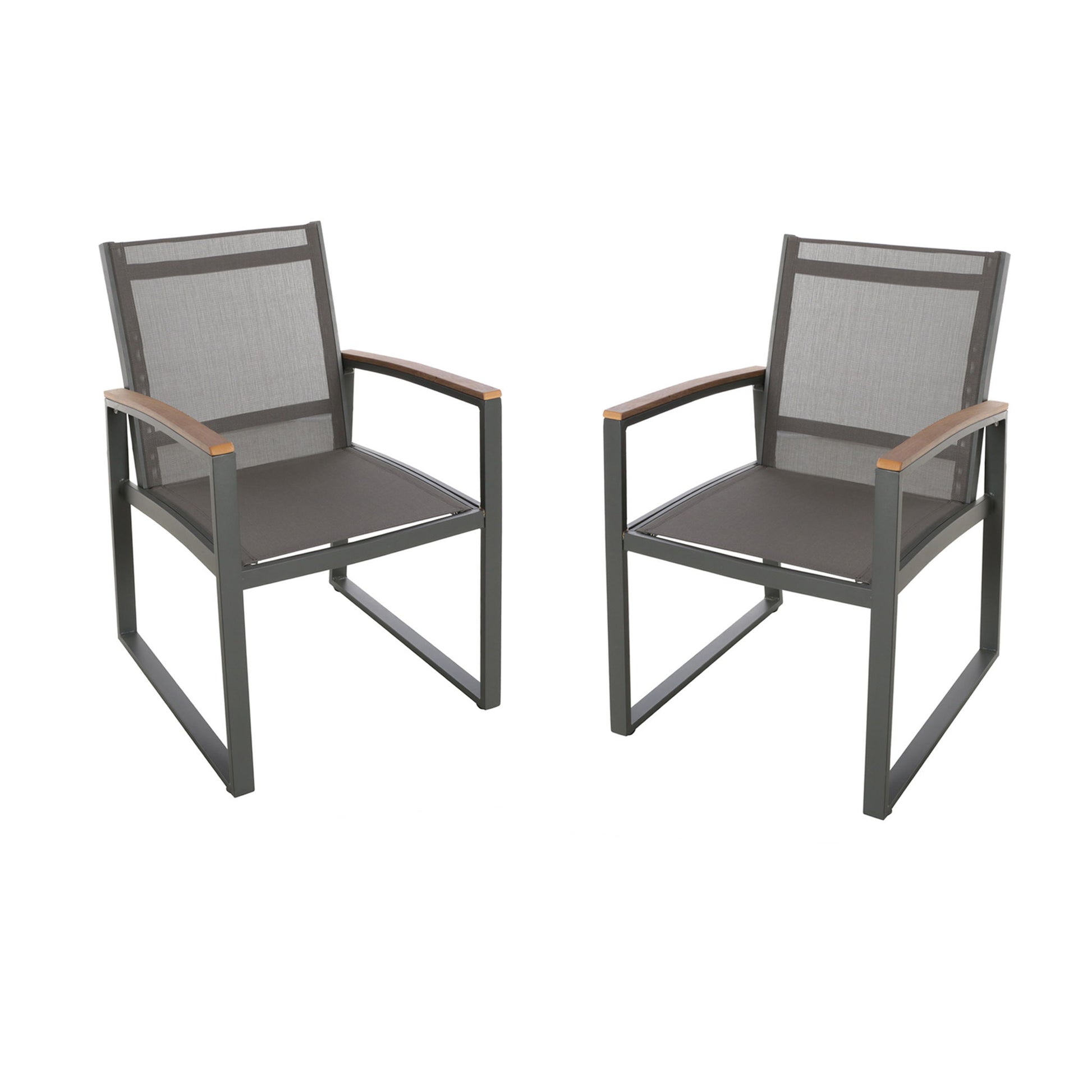 Aresha - Metal Outdoor Dining Armchair (Set of 2) - Gray